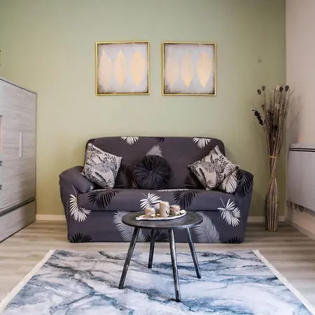 Studio' Cocooning*fibre*centre Ville*auto 24/24* * Saint-Louis (Haut-Rhin)